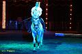 IMG_5258 aa